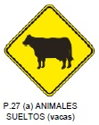Animales sueltos (vacas)