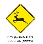 Animales sueltos (ciervos)