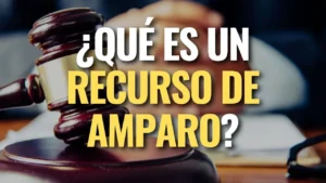 Lee más sobre el artículo ¿Qué es una Acción o Recurso de Amparo?